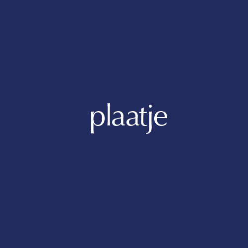 plaatje-vb500 plaatje-vb500