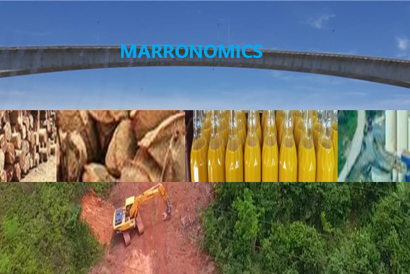 With the forthcoming IMF Extended Fund Facility (EFF) and the economic restructuring program in the Republic of Suriname, the development of #marronomics can receive a positive boost. The native people and maroon population can definitely contribute to economic recovery on the long term.